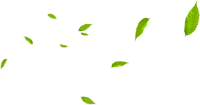 立足園區(qū)，綜合開(kāi)發(fā)，智慧運(yùn)營(yíng)，助力雙碳